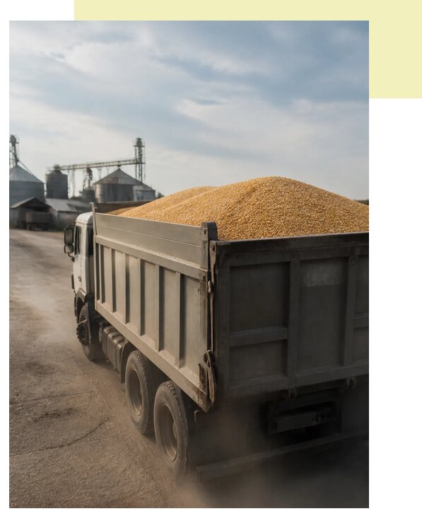 Перевозка сельхозпродукции навалом в Рузаевку по цене от 3110 р. | Агросервис-Рзв